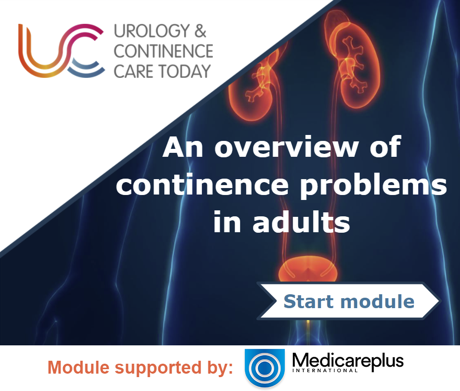 An overview of  continence problems in adults