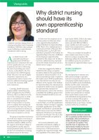 Why district nursing should have its own apprenticeship standard