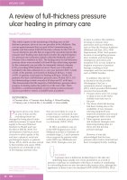 A review of full-thickness pressure ulcer healing in primary care