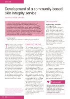Development of a community-based skin integrity service