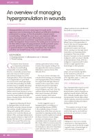 An overview of managing hypergranulation in wounds