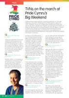 TVNs on the march at Pride Cymru’s Big Weekend