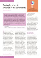 Caring for chronic wounds in the community