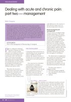 Dealing with acute and chronic pain: part two - management