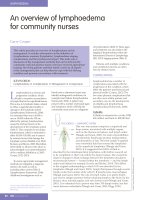 An overview of lymphoedema for community nurses