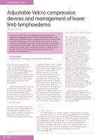 Adjustable Velcro compression devices and management of lower limb lymphoedema