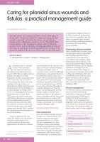 Caring for pilonidal sinus wounds and fistulas: a practical management guide